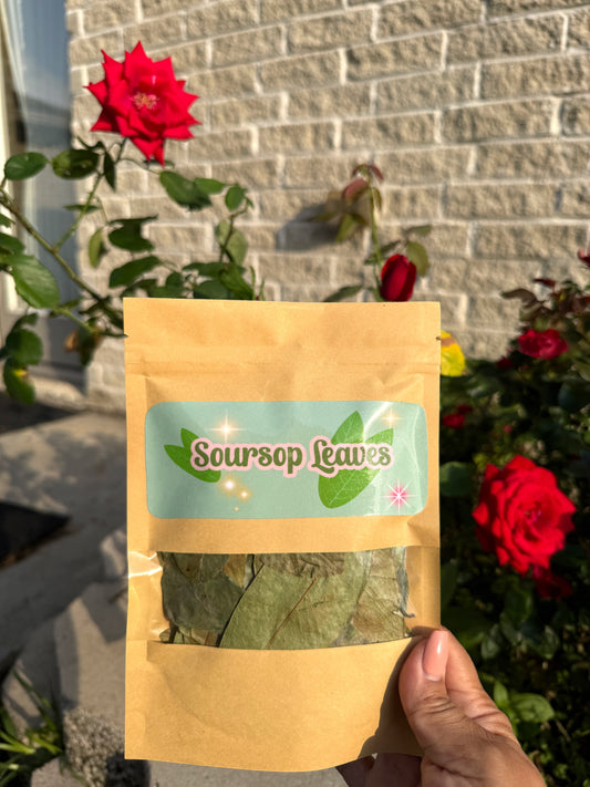 Soursop Leaves